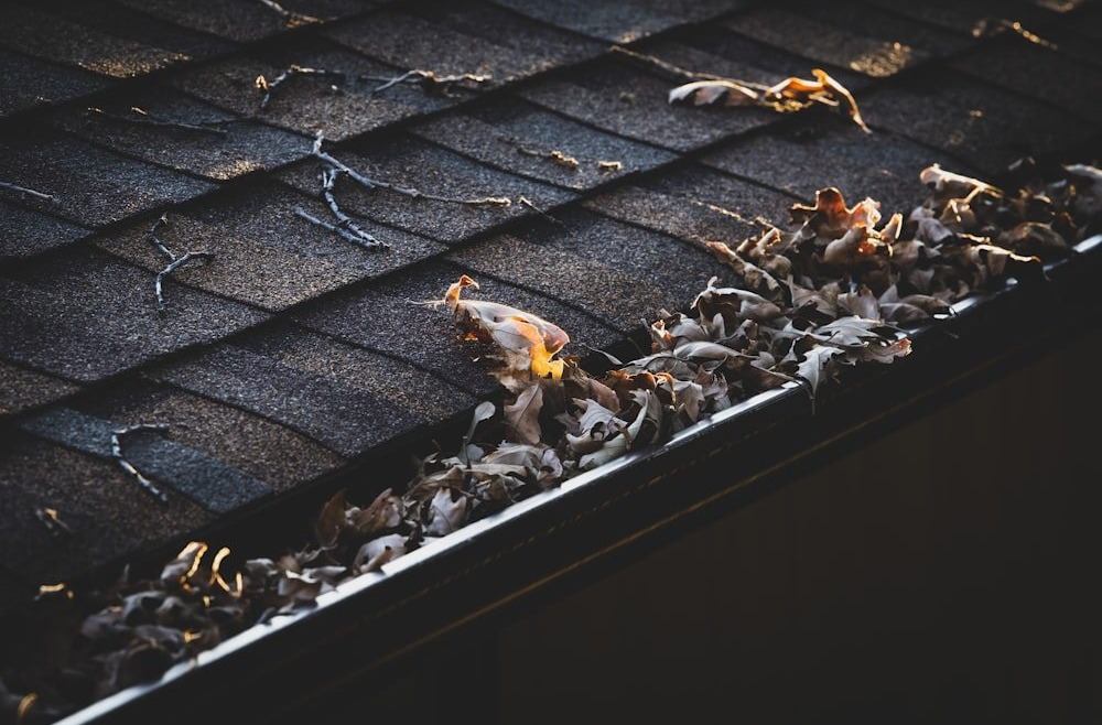 Don’t Ignore Your Gutters: The Importance of Regular Gutter Maintenance