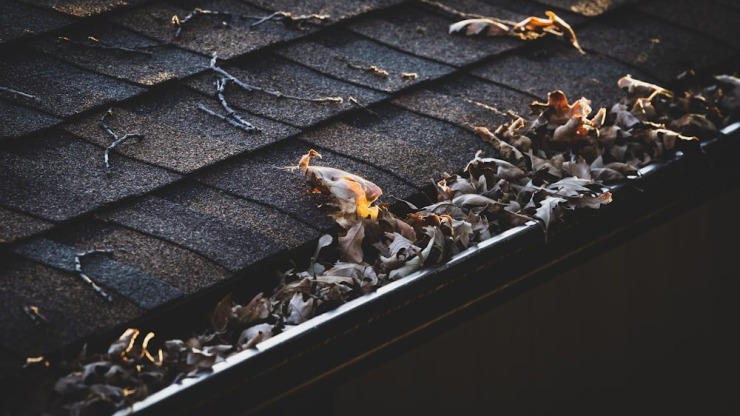 Don’t Ignore Your Gutters: The Importance of Regular Gutter Maintenance
