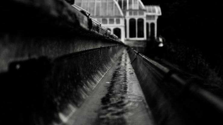 Clogged or blocked gutters can result in water damage to your home.