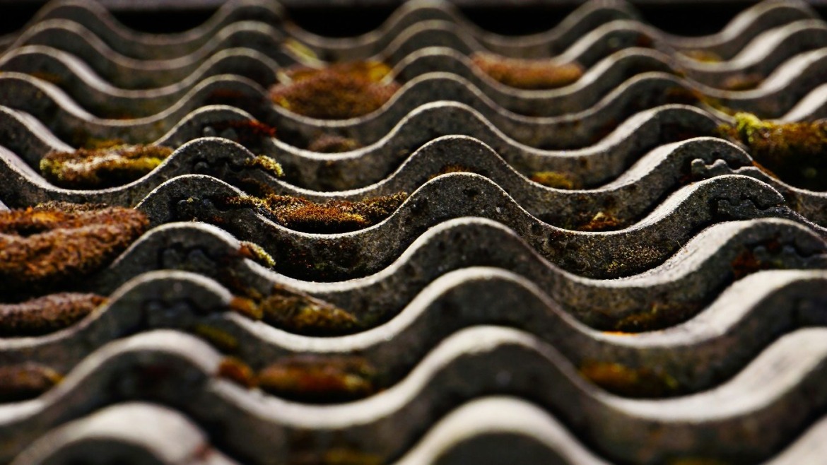 7 Signs of Moss Growth on Your Roof