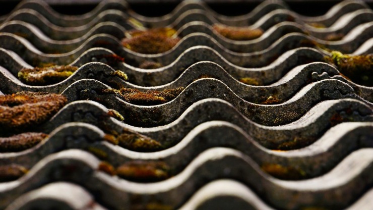 7 Signs of Moss Growth on Your Roof