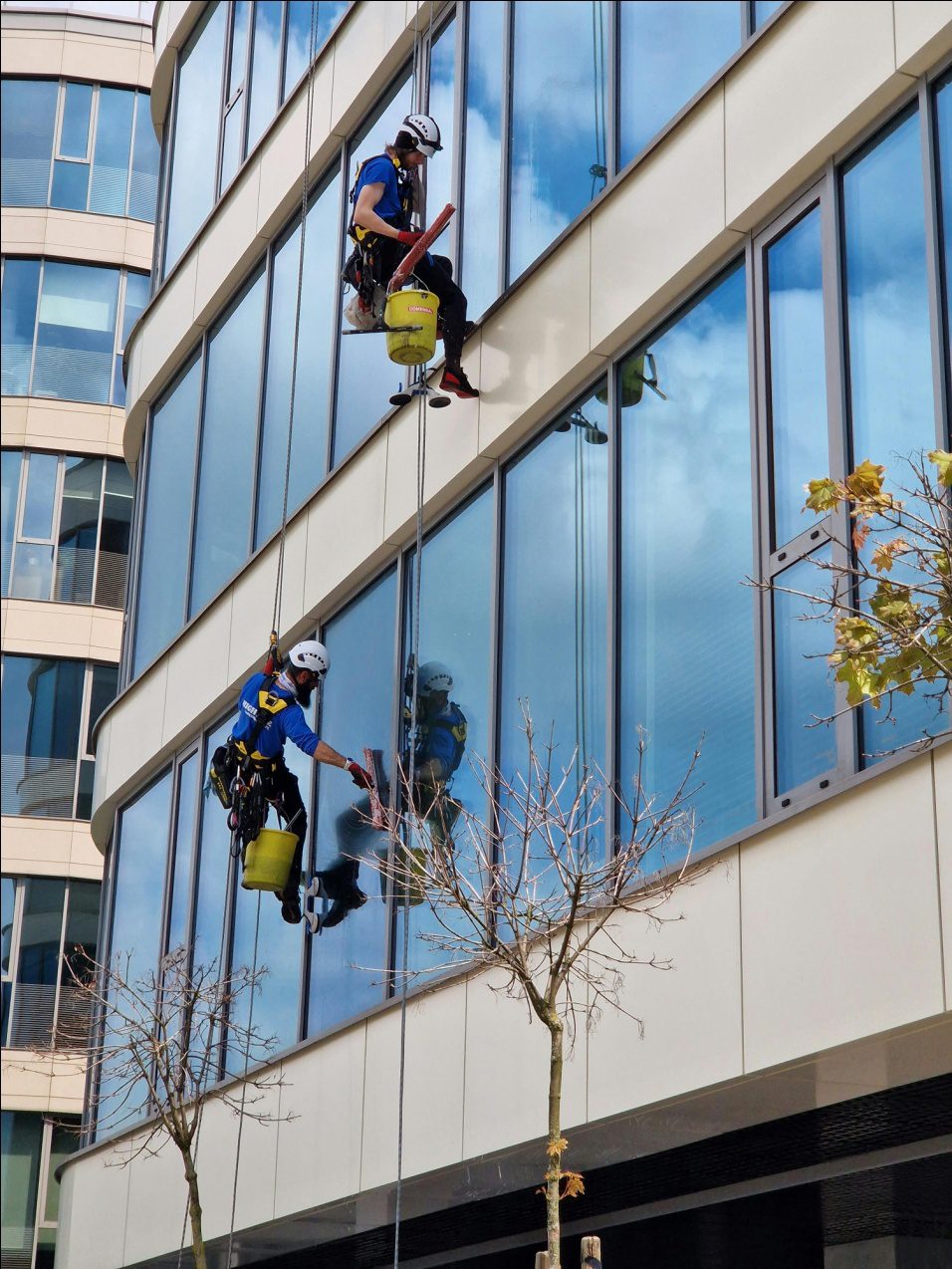 commercial-window-cleaning