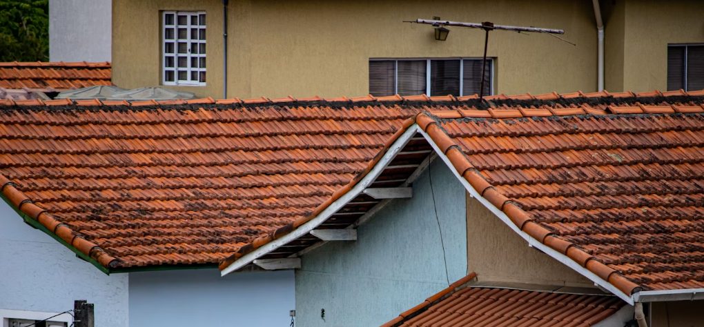 How to Tell When Your Roof Needs Cleaning: Key Signs to Watch For