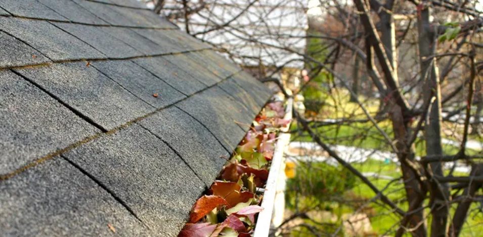 How Regular Gutter Cleaning Can Save Your Home’s Foundation from Water Damage